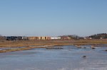 POAY 7561 at the Scarborough Marsh